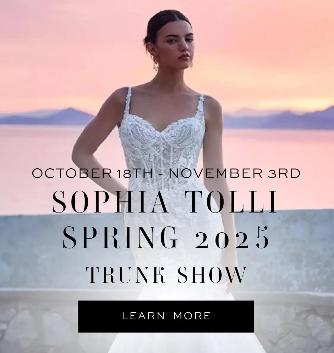 sophia tolli spring 2025 banner